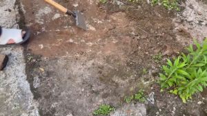 OLEVO Garden Cleaning ShovelManganese Flat ShovelSquare Garden Spade Shovel for DiggingLawn EdgingWeed Removal