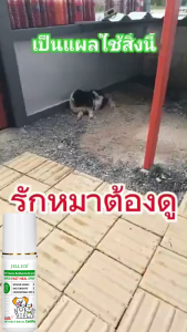 🐱สเปรย์แผลสัตว์ มีผลตั้งแต่ 1 สเปรย์🐶 สเปรย์สมานแผลสำหรับสัตว์เลี้ยง สเปรย์พ่นแผล สัตว์เลี้ยง/สุนัข/แมว แผลแห้งเร็วมาก ยับยั้งแบคทีเรีย