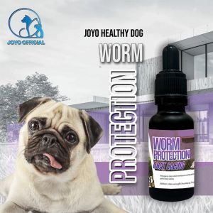 OBAT ANJING CACINGAN | PEMBASMI CACING ANJING | HEALTHY DOG WORM PROTECTION 20 ML