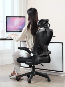 FairCraft Home Office Chair Ergonomics Chair High Back Mesh Computer Chair Height Adjustable 360 Rotating With Adjustable Armrest
