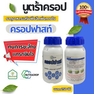 ครอปฟาสท์  จับใบ ของแท้ 100 % ช่วยเพิ่มประสิทธิภาพการดูดซึม ทนต่อการชะล้างแทรกซึมไว  ขนาด 250 ซีซี