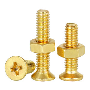 Cross Recessed Flat Head Brass Screws and Nuts Set