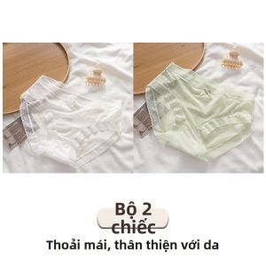 FENGTING | Quần Lót Thun Không Seam Thông Hơi Cotton Chống Khuẩn Đẹp