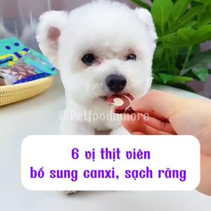 Bánh Thưởng Snack Gặm Giúp Làm Sạch Răng Giàu Dinh Dưỡng Cho Chó Túi 100g