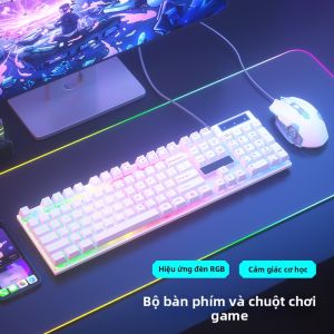 SiliconPower | Bộ Bàn Phím và Chuột Chơi Game & Văn Phòng Cảm Giác Cơ Học Ít Ồn