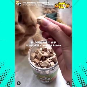 CATPOW Freeze Dried Salmon Daging Salmon Kering Snack Kering Freeze Dried Anjing Kucing 100 Gram