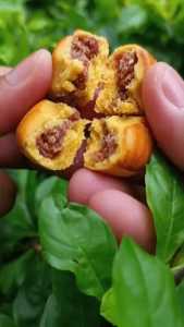 [ HOT SALE ] Red Date and Yam Walnut Cake/Womens Blood-Replenishing Cake/Walnut Date Biscuits