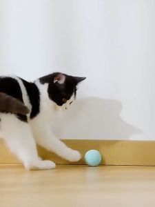 Cat Interactive Ball Electric Automatic Rolling Ball Smart Toys for Cats Smart Cat Toy Rotating Ball Cat Game Pets Accessories