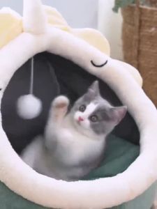 Lowest Price🔥Cat Bed Removable Washable  Foldable Cat/Puppy House Rumah Kucing Murah  Pet Nest Dog Bed