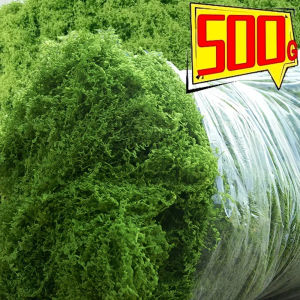 Dizoey 500/30g Eternal Life Moss Artificial Green Plants DIY Crafts Grass Home Room Garden Decoration Mini Landscape Fake Grass Gifts