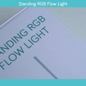 BARDI Standing RGB Flowing Light