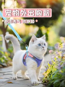 VOA | Escaping Prevent Cat Harness Leash for Outdoors