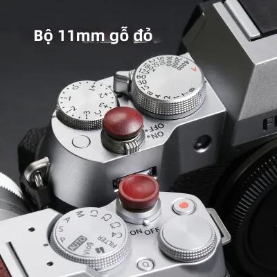 Nút Shutter Gỗ Có Rãnh Thiết Kế Bằng Tay