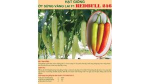 Ớt sừng vàng REDBULL 246 gói 1gr | chắc cứng thịt dày rất cay
