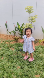 QV Baby Moisturising Cream 250g Diformulasikan Secara Khusus Untuk Merawat Dan Melindungi Kulit Bayi Yang Halus Dan Sensitive Mengatasi Kondisi Kulit Kering Termasuk Yang Terkait Dengan Eksim Dermatitis Dan Psoriasis