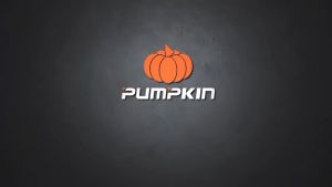 PUMPKIN เครื่องอัดฉีดล้าง เครื่องฉีดน้ำแรงดันสูง 105 bar LAGUNA LG-105 รหัส 50304
