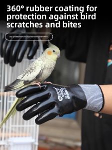 Terrain Kun | Parrot Training And Interaction Water-resistant Gloves