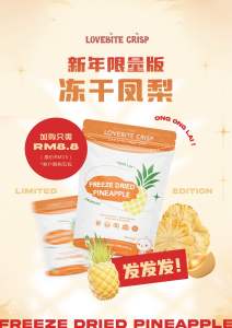 Lovebite Freeze Dried Pineapple冻干凤梨 20g