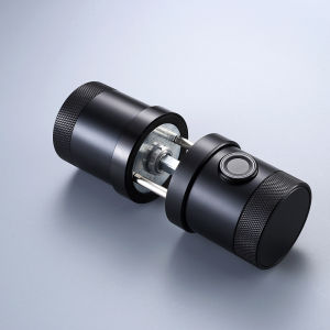 RAYKUBE L16A Tuya บลูทูธสมาร์ทลายนิ้วมือ Deadbolt ล็อค Keyless รอบลูกบิดดิจิตอลล็อคไฟฟ้า APP/คีย์/รหัสปลดล็อค