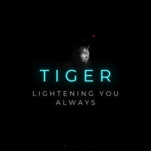 Lampu Kepala TIGER 1000W 2ND GENERATION RECHARGEABLE LED HEADLIGHT 头灯