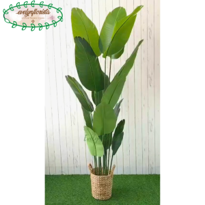 Pohon Hias Pohon Imitasi Pisang T180 Latex Pot Hitam Cover Eceng Gondok Handle Dekorasi Rumah Dekorasi Sudut Ruang Kantor