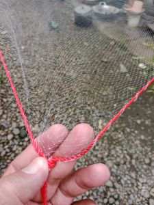 anco senar 015 lubang 1/2 in ukuran 25x3 m