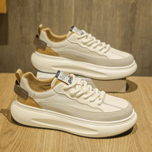 Breathable Thick Soled Platform Shoes