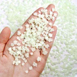 ชุดตกแต่งเล็บเรซิ่นลายดอกไม้สีพื้นเรียบง่ายหลากหลายขนาด 60 ชิ้น ลายดอกไม้ 3 มิติ หวาน น่ารัก รูปทรงไม่สม่ำเสมอ สำหรับตกแต่งเล็บ DIY