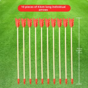 LIANFEIQING | Traditional Game Set Activity Equipment