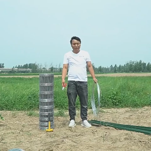 DIY ลวดตาข่าย ลวดตาข่ายกรงไก่ ล้อมไก่ 30M/50M ชุบกัลวาไนซ์ หนาและแข็งแรง ตาข่ายกรงไก่ ตะแกรงปูผนัง ตาข่ายลวด ลวดเหล็ก รั้วตาข่าย กันงู กันหนู ดักสัตว์ ตะแกรงลวด