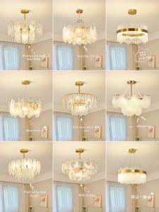 DGY | Romantic and Elegant Chandelier for Bedroom Living Room and Dining Room