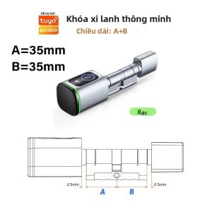 RAYKUBE V1 Khóa Xi Lanh Thông Minh Tuya BLE Vân Tay Thẻ IC Mật Khẩu Mở Khóa 3 * Pin AAA Đi Kèm Dễ Dàng Lắp Đặt Cho Cửa Thép/gỗ