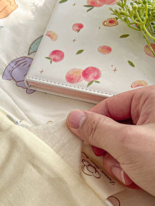 SHIPAILUO | Cotton Summer Cooling Quilt Machine Washable Air Conditioner Set Thin