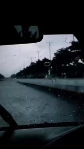 Hyundai Palisade (2020-2024) Carsthetics Fuke Windshield Wiper Aeroblades Hook Type For All Season