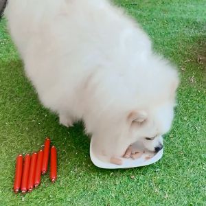 【Buy 1 Ship 4】Dog Treat Dog Sausage Three Flavors of Sausage For All Dog Breeds Pet Snack Cat Treat 15g Pet sausage Dog Training Sausage