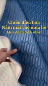 Chiếu Điều Hòa TOKDODO Vải Tencel Tặng Kèm 2 Vỏ Gối Thoáng Mát 4 Mùa.