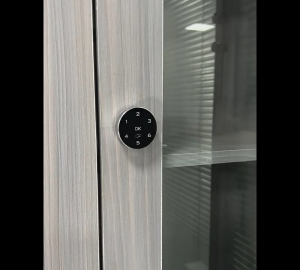 Khóa kỹ thuật số KTS103 cho tủ ngăn kéo bàn mặt tròn 4-6 mã số có thể thay đổi được dài 20-30mm