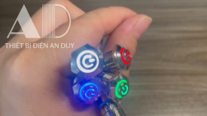 Nút nhấn công tắc On/off Tự khóa Self-Lock 12mm Loại có đèn LED Điện áp 12V-24V