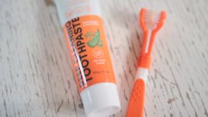 Dogs life Dog Dental Care Kit | Teeth Oral Dental Care | Tartare removal | Adult Dog or Puppy | All Natural