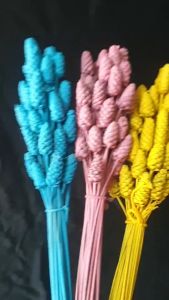 Rarin ดอกกระถินทุ่ง ทำสีเกรด A (3 สี ) สวยมากกกก ใช้ตกแต่งแจกัน แต่งร้าน พร๊อพถ่ายรูป แต่งโต๊ะอาหาร งาน DIY