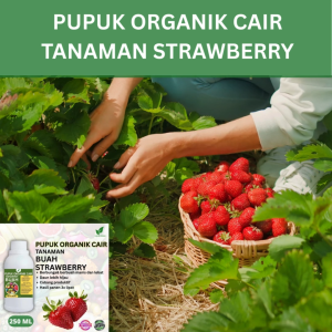 Pupuk Buah Strawberry 250 ML /Pupuk Booster Strawberry Cepat Berbuah Lebat/Pupuk Cair Strawberry