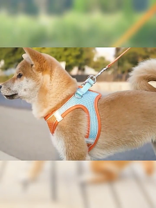 Fly-Pet [ส่งฟรี🇹🇭] CleverPet สายรัดอกแมวและสุนัข ฟรีสายจูง เสื้อรัดอกแมว ระบายความร้อน Dog Cat Harness