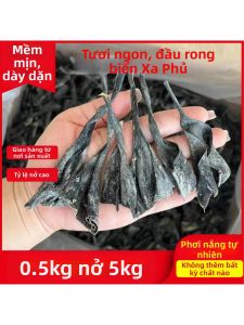 Rong Biển Sấy Nắng Chất Lượng Cao