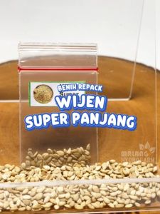 Benih Wijen Super Panjang Unggulan Berkualitas biji bibit repack sesamum indicum L hydroponik hidroponik tanam tanaman tanah pot