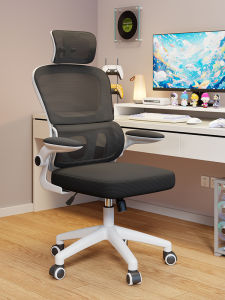 Ergonomic Computer Chair Home Office Chair Lumbar Support Fatigue Less Study Dormitory Learning Backrest Chair Adjustable Seat