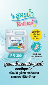 วูดเทค น้ำยาลอกสี สูตรน้ำ PR-300 Woodtect Paint Remover Waterbased
