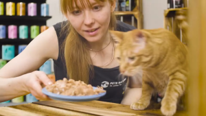 "CATZ FINEFOOD" อาหารแมวแบบเปียก ขนาด 85 กรัม ไร้ธัญญาพืช ปริมาณเนื้อ 98%