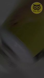 Vitamin Burung Kenari Cimbio Herba: Obat Penggacor & Anti Lesu