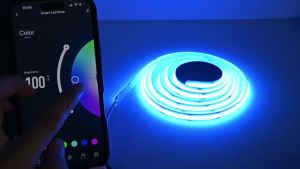 USB 5V WiFi COB RGB LED Strip 1M 2M 3M 4M 5M Remote Control TV Back Game Room Light Deco Tuya Smart Life APP F Alexa Google Home