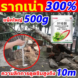 แค่1ซองป่าไผ่ให้เป็นพื้นที่รกร้าง ยาฆ่าต้นไม้ใหญ กำจัดวัชพืชเปิดที่รกราง ยาฆ่าตอไม้ใหญ่ ใช้งานง่าย ผลลัพธ์ที่ยาวนาน ยากำจัดต้นไม้ใหญ่ ไม่ทําร้ายดิน ไม่ทําร้ายต้นผลไม้ สารกำจัดกอไผ่ บอกลาการตัดต้นไม้ด้วยตนเอง ไม่เป็นอันตรายต่อดิน ผงกำจัดต้นไม้